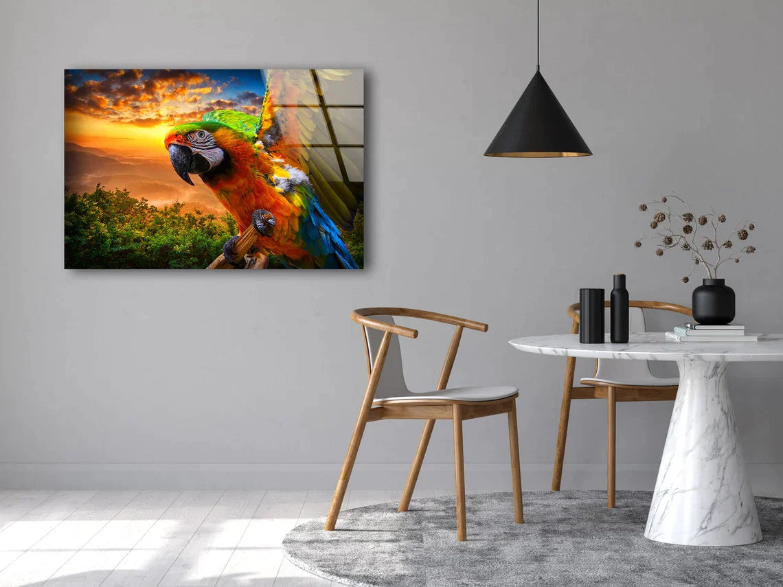 Macaw Parrot Sunset Sky UV Direct Aluminum Print Australian Made Quality