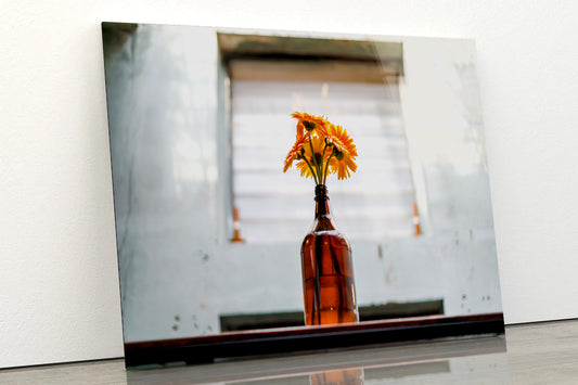 Gerbera Flower Blooming In Vase Bottle Acrylic Glass Print Tempered Glass Wall Art 100% Made in Australia Ready to Hang