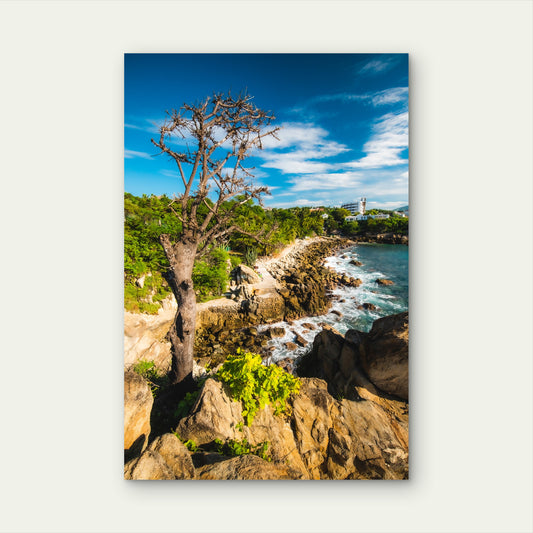 Puerto Escondido Main Beach Sunny Day Oaxaca Mexico 60x90cm Metal Print Ready to Hang