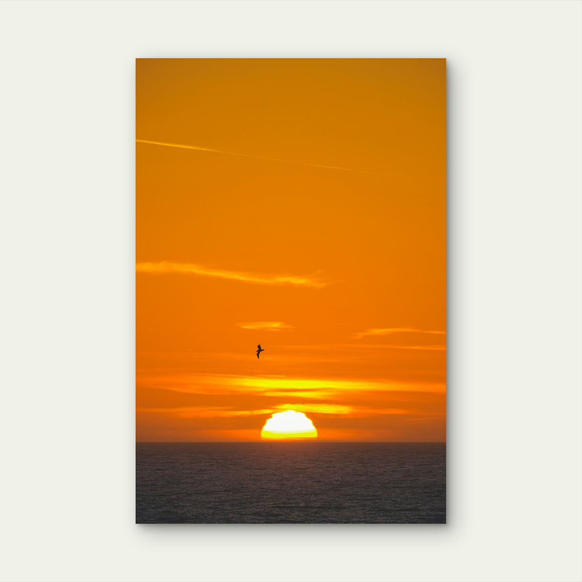 A Bird Flying Over the Ocean at Sunset 40x60cm Metal Print Ready to Hang