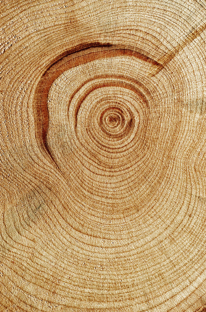 Natural Wood Grain Texture 60x90cm Metal Print Ready to Hang - Bella Home Decor