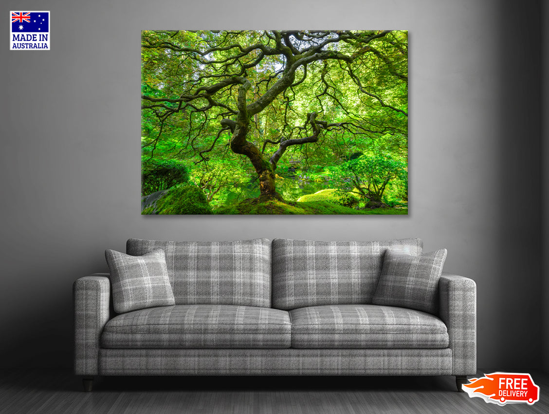 Japanese Maple Trees in Forest Print 100% Australian Made - Bella Home Decor
