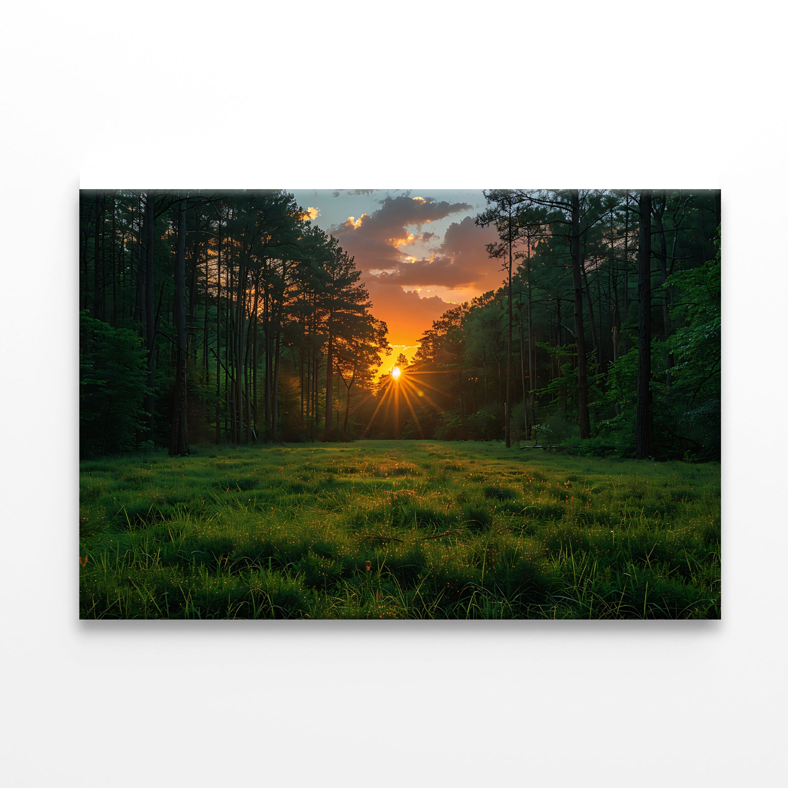 Sunrise in the Forest Print 100% Australian Made - Bella Home Decor