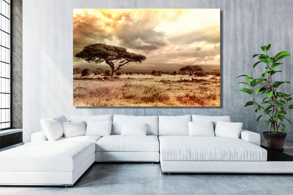 African Savannah Sunset UV Direct Aluminum Print Australian Made Quality