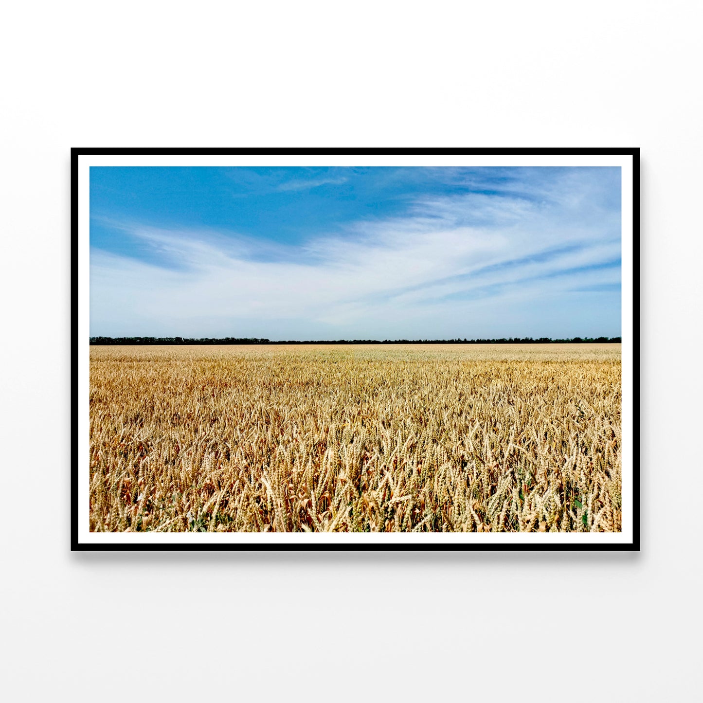 View of a Large Field Of Crops under a Blue Sky Home Decor Premium Quality Poster Print Choose Your Sizes