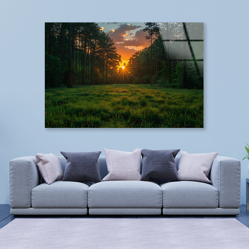 Sunrise in the Forest Acrylic Glass Print Tempered Glass Wall Art 100% Made in Australia Ready to Hang - Bella Home Decor