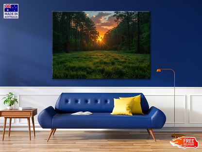 Sunrise in the Forest Print 100% Australian Made - Bella Home Decor