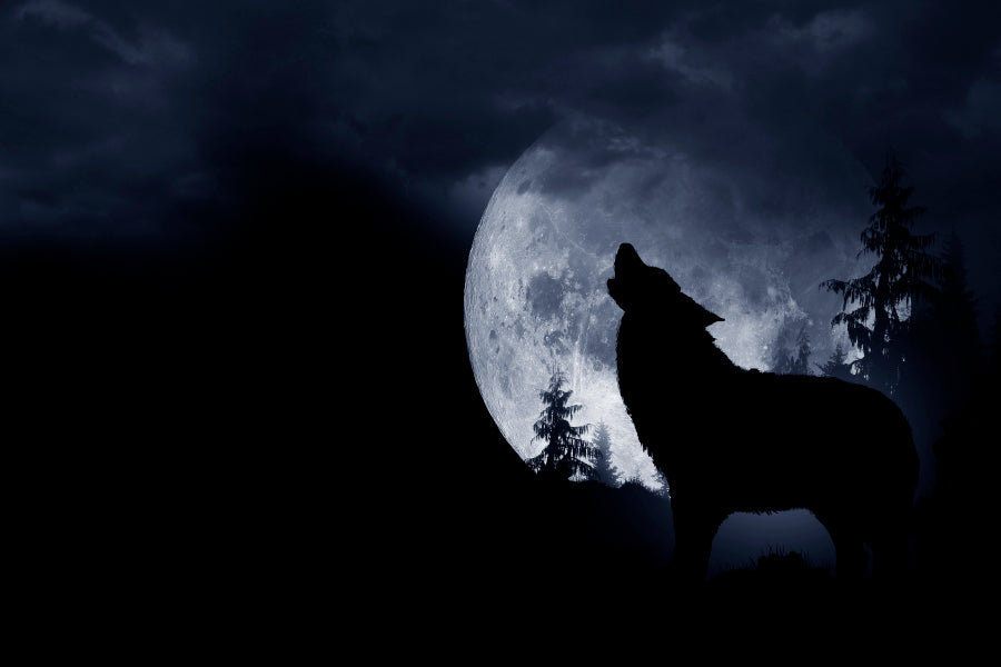 Wolf Howling at The Moon in The Dark Home Decor Premium Quality Poster Print Choose Your Sizes