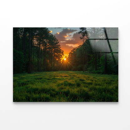 Sunrise in the Forest Acrylic Glass Print Tempered Glass Wall Art 100% Made in Australia Ready to Hang - Bella Home Decor