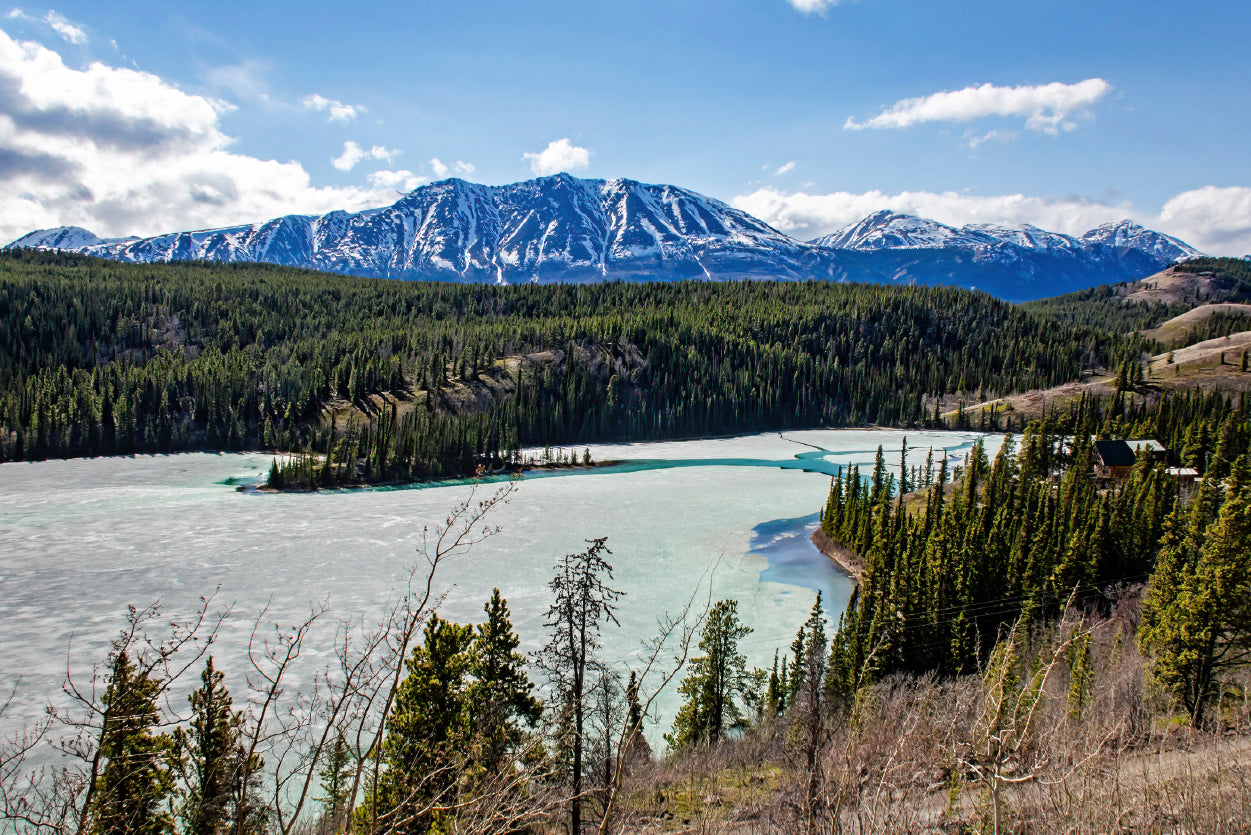 A Serene River with Trees Towering Mountains Home Decor Premium Quality Poster Print Choose Your Sizes