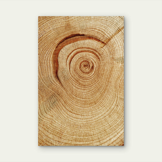 Natural Wood Grain Texture 40x60cm Metal Print Ready to Hang