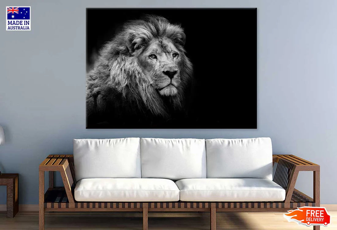 Lion on Dark B&W Photograph 90x60cm Print 100% Australian Made