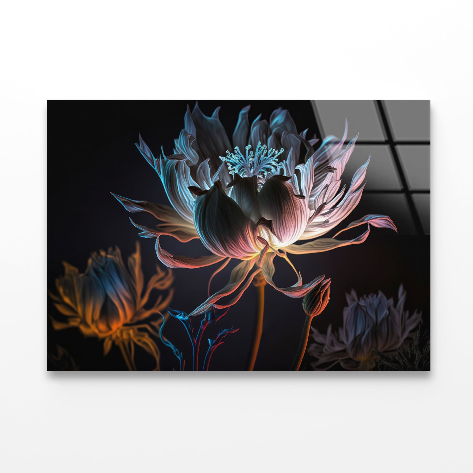 Close-Up of a Flower at Night Acrylic Glass Print Tempered Glass Wall Art 100% Made in Australia Ready to Hang - Bella Home Decor