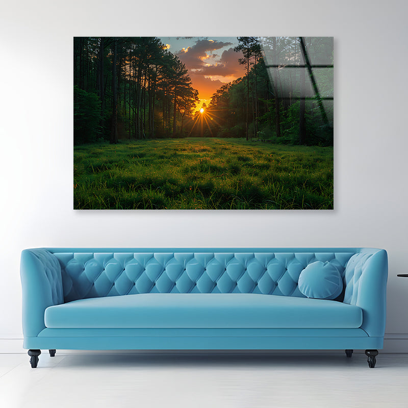 Sunrise in the Forest Acrylic Glass Print Tempered Glass Wall Art 100% Made in Australia Ready to Hang - Bella Home Decor