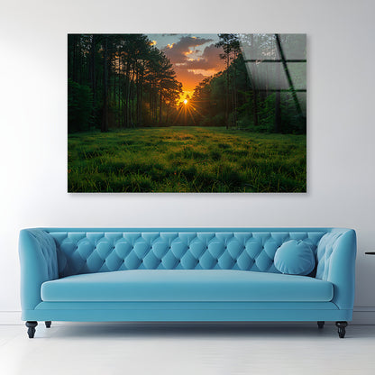 Sunrise in the Forest Acrylic Glass Print Tempered Glass Wall Art 100% Made in Australia Ready to Hang - Bella Home Decor