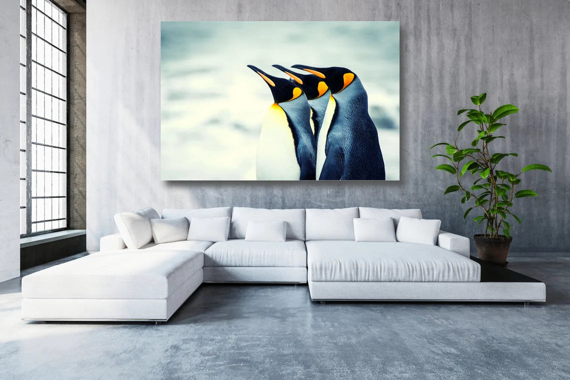 Arctic Penguins Wall Art UV Direct Aluminum Print Australian Made Quality