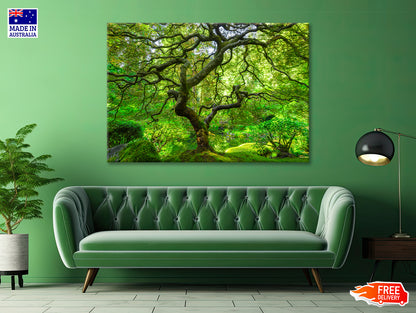 Japanese Maple Trees in Forest Print 100% Australian Made - Bella Home Decor