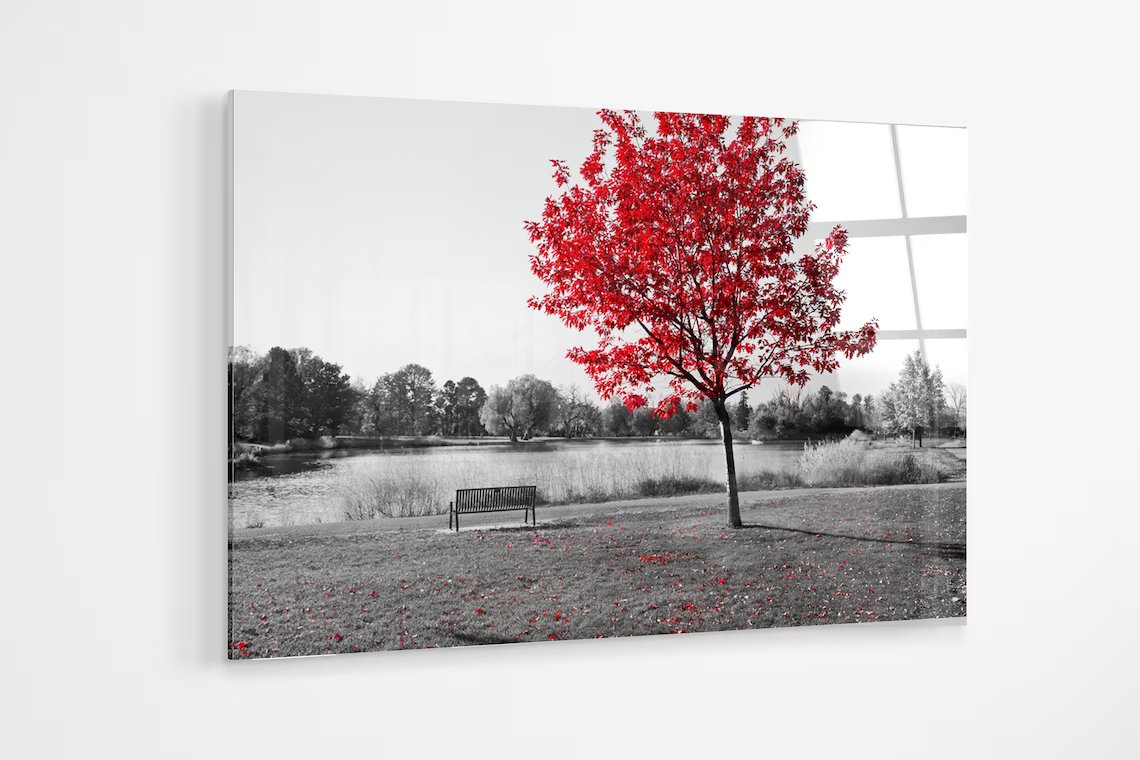 Red tree in a black and white park UV Direct Aluminum Print Australian Made Quality