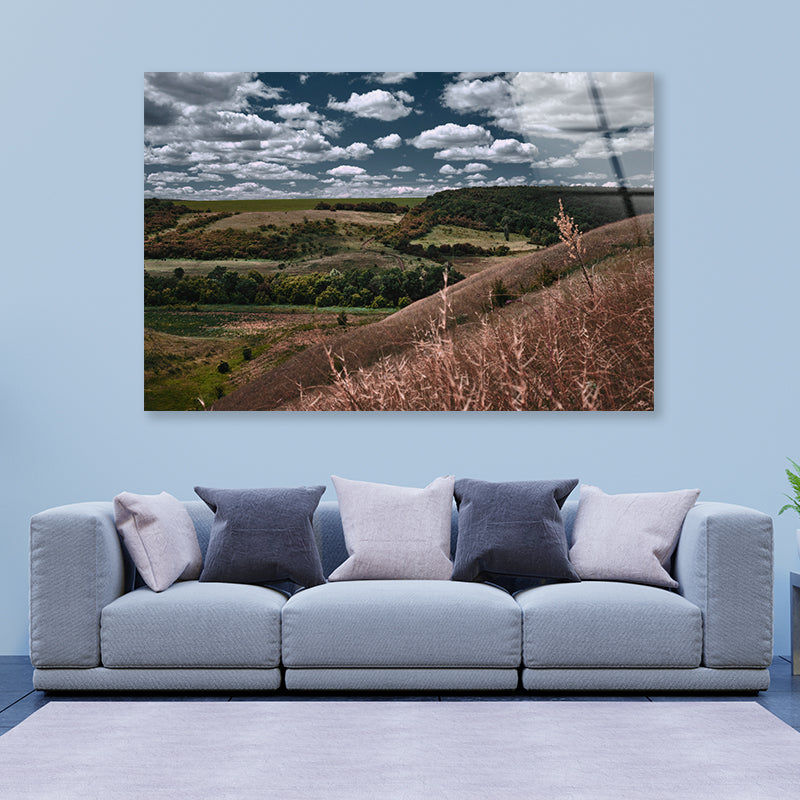 View of a Cloudy Sky and Forest Scenery Acrylic Glass Print Tempered Glass Wall Art 100% Made in Australia Ready to Hang