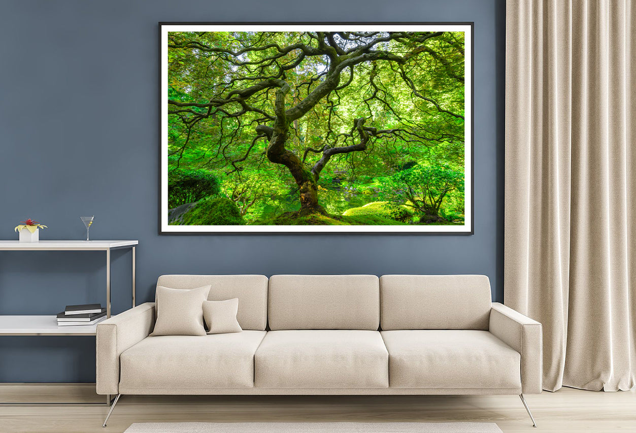 Japanese Maple Trees in Forest Home Decor Premium Quality Poster Print Choose Your Sizes - Bella Home Decor