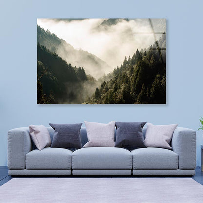 Fog In Forest, Early Morning Scene in Mountain Acrylic Glass Print Tempered Glass Wall Art 100% Made in Australia Ready to Hang - Bella Home Decor
