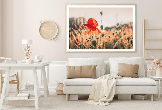 Poppy Plants in The Evening Light Home Decor Premium Quality Poster Print Choose Your Sizes