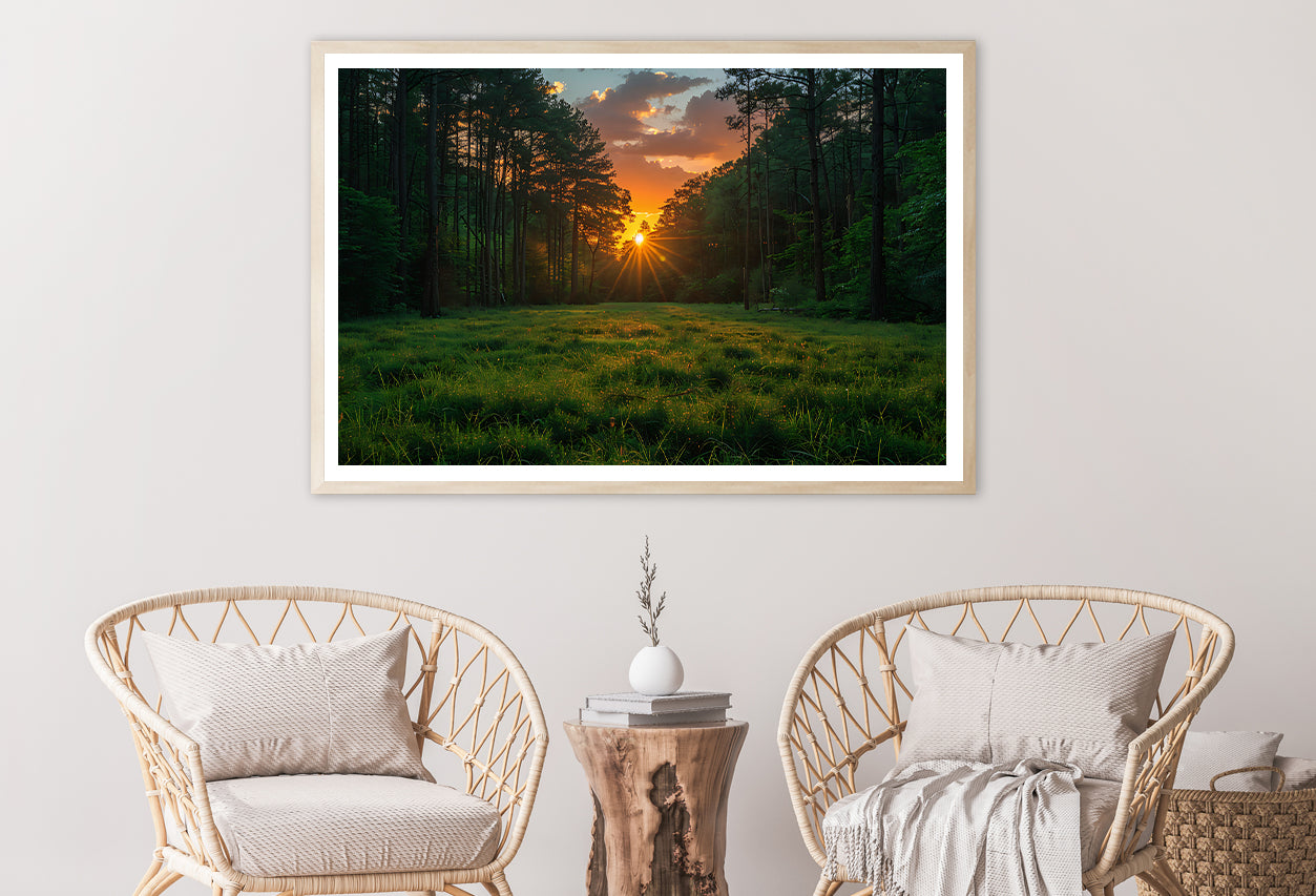 Sunrise in the Forest Home Decor Premium Quality Poster Print Choose Your Sizes