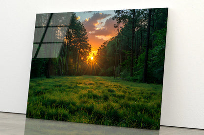 Sunrise in the Forest Acrylic Glass Print Tempered Glass Wall Art 100% Made in Australia Ready to Hang - Bella Home Decor