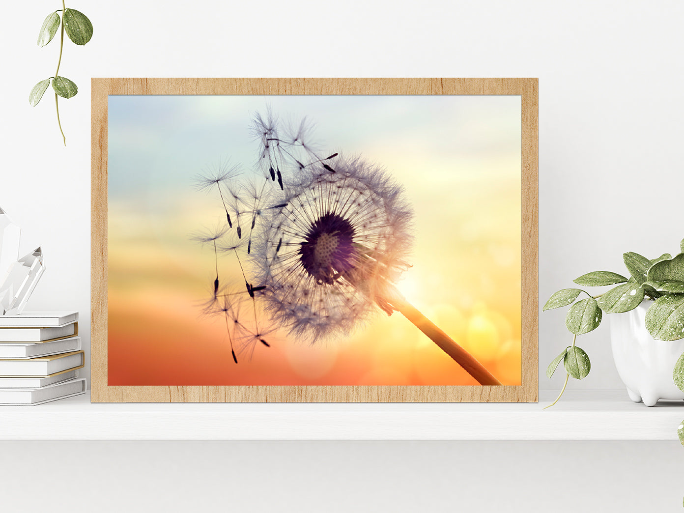Dandelion Silhouette Sunset Glass Framed Wall Art, Ready to Hang Quality Print Without White Border Oak