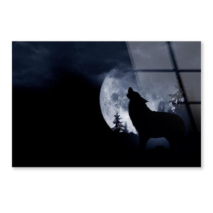 Wolf Howling at The Moon in The Dark Acrylic Glass Print Tempered Glass Wall Art 100% Made in Australia Ready to Hang