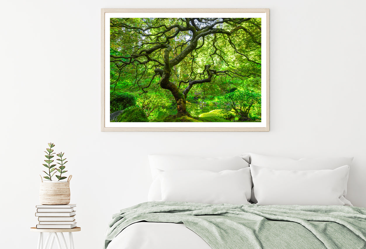 Japanese Maple Trees in Forest Home Decor Premium Quality Poster Print Choose Your Sizes - Bella Home Decor