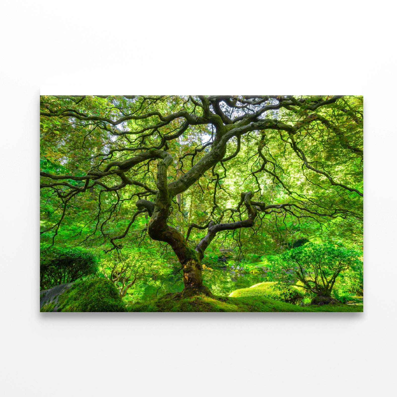 Japanese Maple Trees in Forest Print 100% Australian Made - Bella Home Decor