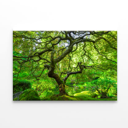 Japanese Maple Trees in Forest Print 100% Australian Made - Bella Home Decor