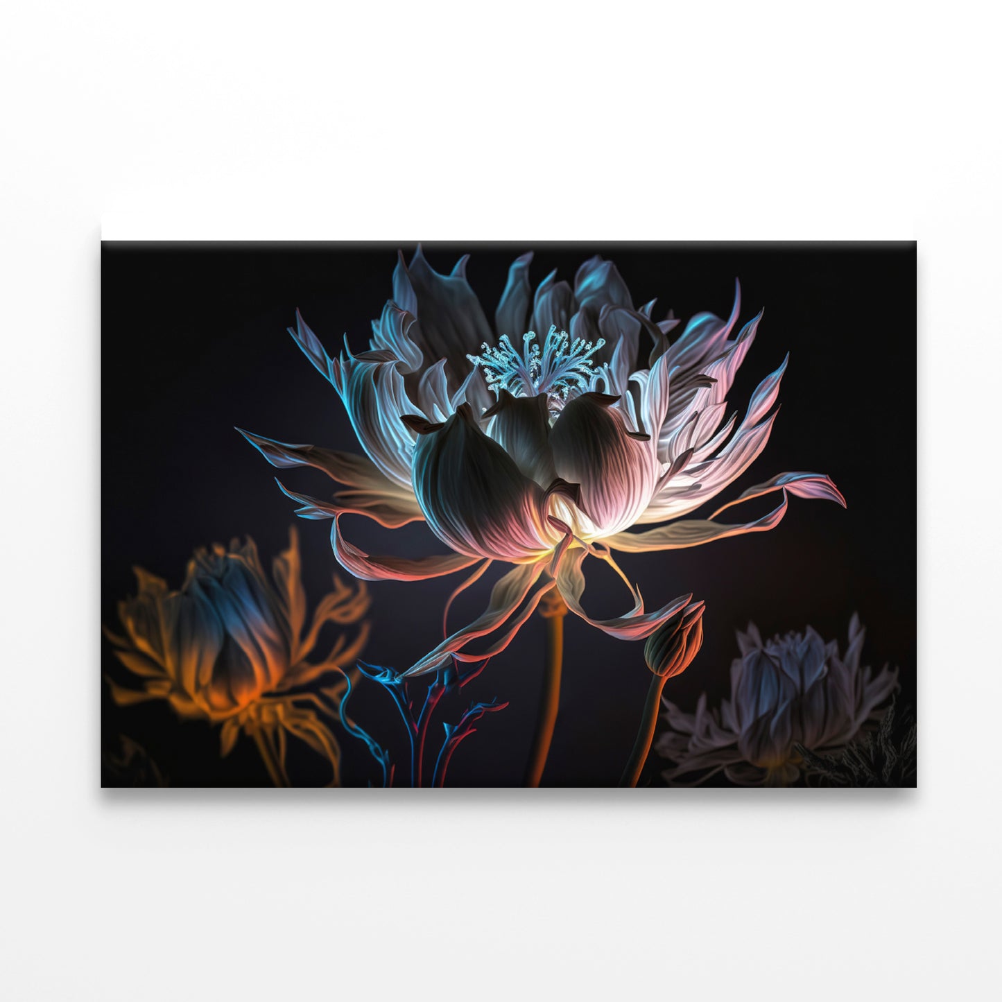 Close-Up of a Flower at Night Print 100% Australian Made - Bella Home Decor