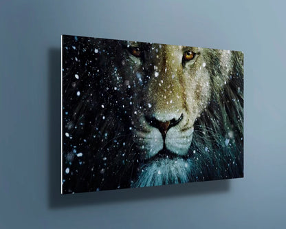 Large Lion with snow UV Direct Aluminum Print Australian Made Quality