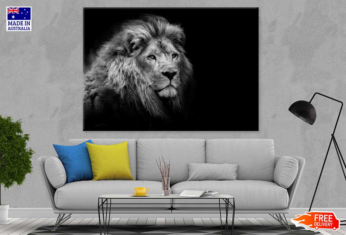 Lion on Dark B&W Photograph 90x60cm Print 100% Australian Made