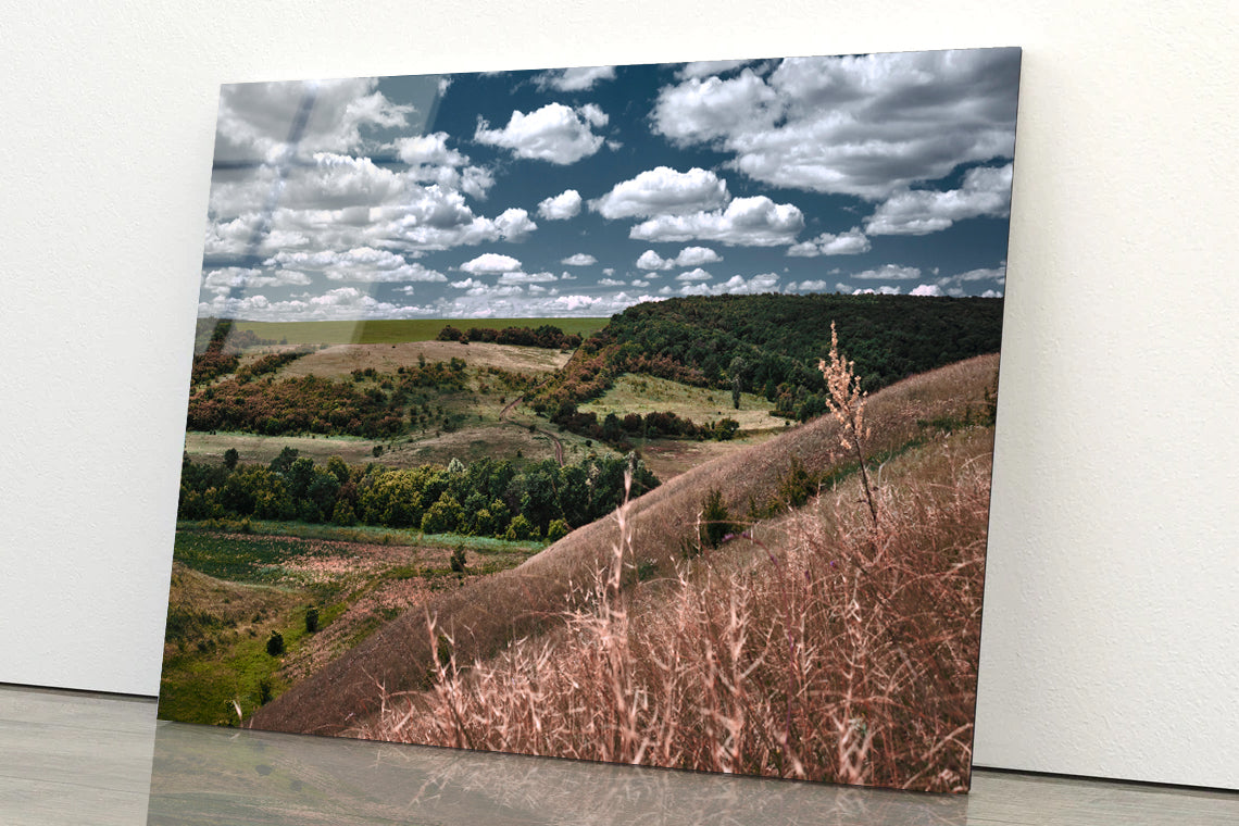 View of a Cloudy Sky and Forest Scenery Acrylic Glass Print Tempered Glass Wall Art 100% Made in Australia Ready to Hang