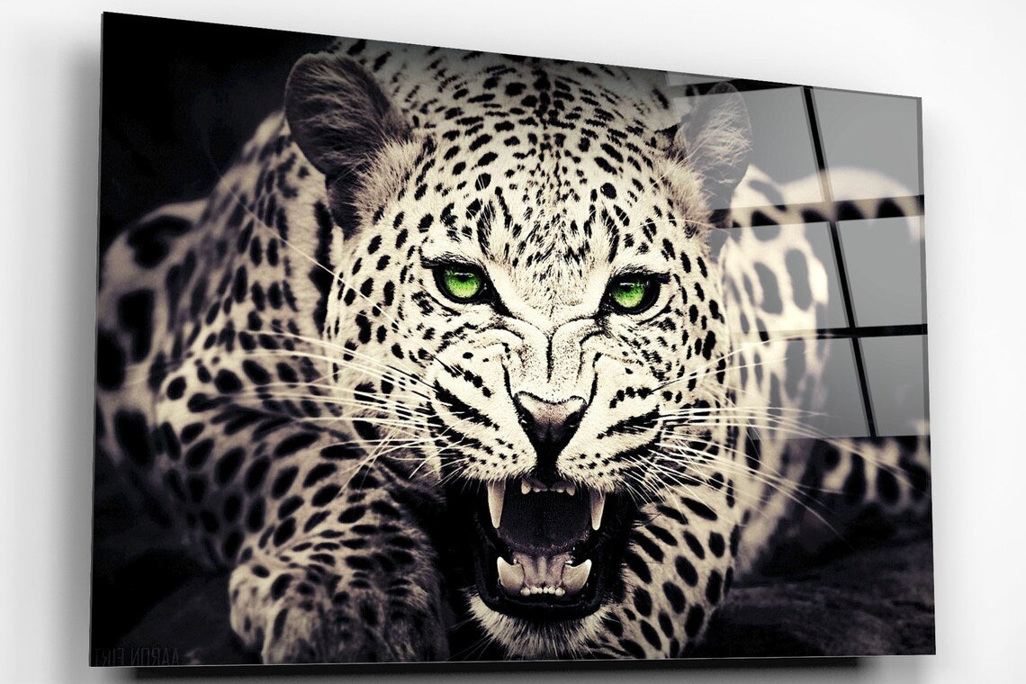 Leopard Closeup Acrylic Glass Print Tempered Glass Wall Art 100% Made in Australia Ready to Hang