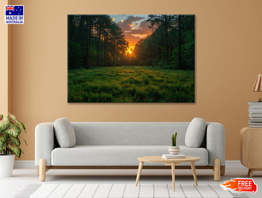 Sunrise in the Forest Print 100% Australian Made - Bella Home Decor