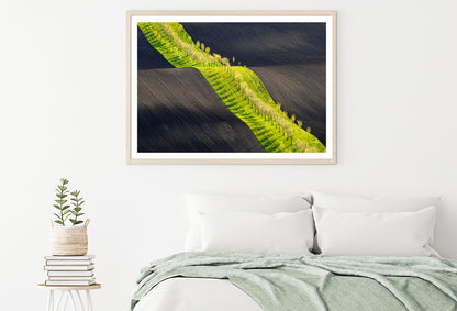 Long Line of Trees Gracefully Standing In a Serene Field Home Decor Premium Quality Poster Print Choose Your Sizes