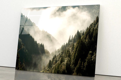 Fog In Forest, Early Morning Scene in Mountain Acrylic Glass Print Tempered Glass Wall Art 100% Made in Australia Ready to Hang - Bella Home Decor