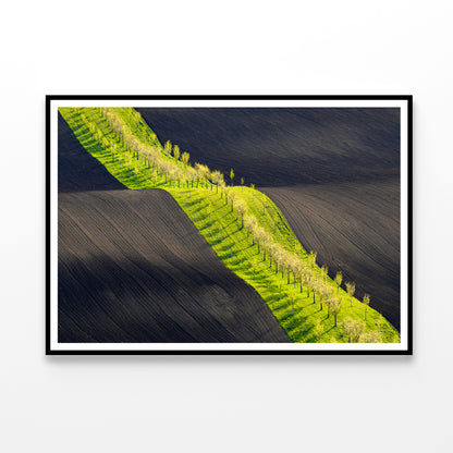 Long Line of Trees Gracefully Standing In a Serene Field Home Decor Premium Quality Poster Print Choose Your Sizes