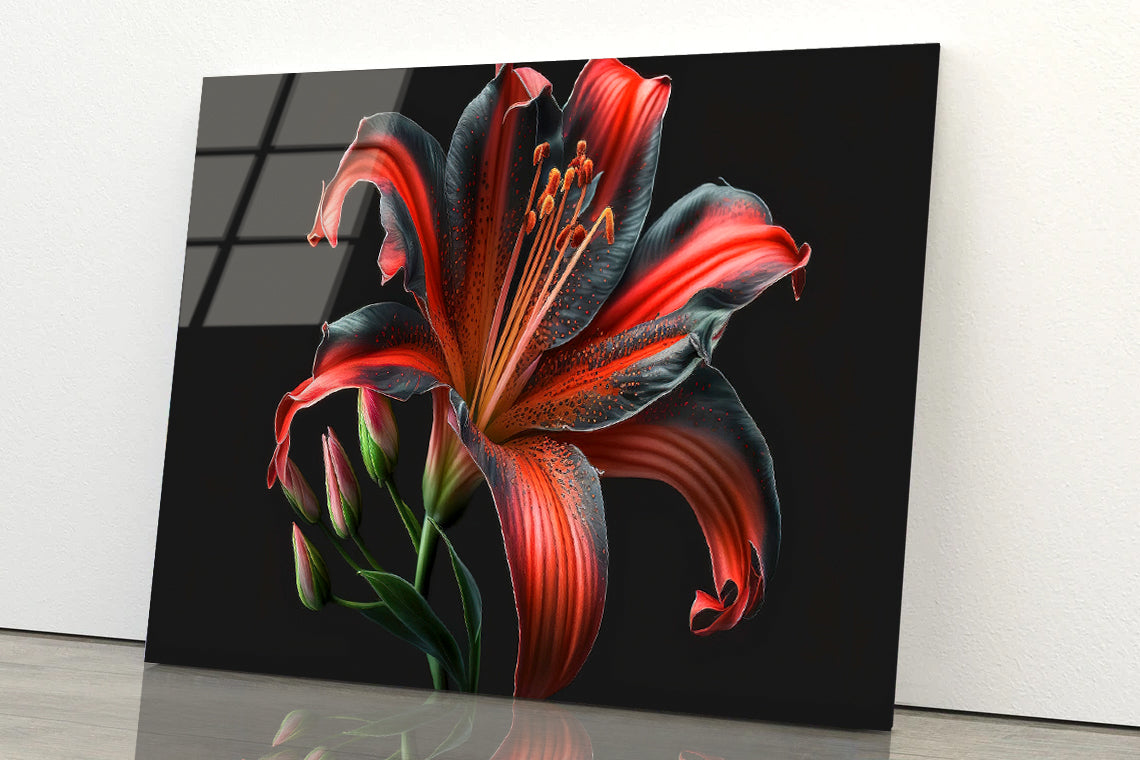 View of Lily Blossom Acrylic Glass Print Tempered Glass Wall Art 100% Made in Australia Ready to Hang - Bella Home Decor