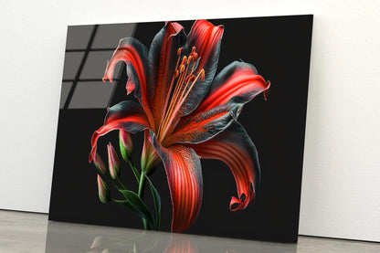 View of Lily Blossom Acrylic Glass Print Tempered Glass Wall Art 100% Made in Australia Ready to Hang - Bella Home Decor
