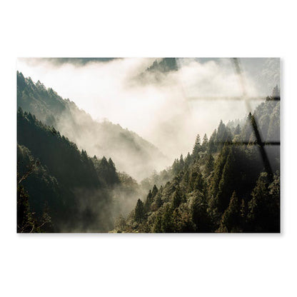 Fog In Forest, Early Morning Scene in Mountain Acrylic Glass Print Tempered Glass Wall Art 100% Made in Australia Ready to Hang - Bella Home Decor