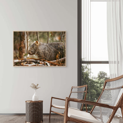 Wombat Kangaroo Valley Australia Wall Art Decor 100% Australian Made