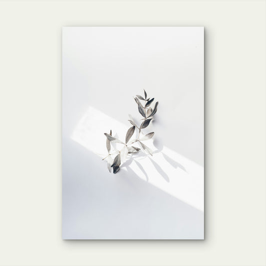 Olive Branch Minimalist Shadow Leaves 40x60cm Metal Print Ready to Hang
