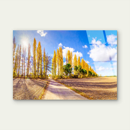 Gould Memorial Drive Marysville Autumn Acrylic Glass Printing Wall Art Australian Made Quality