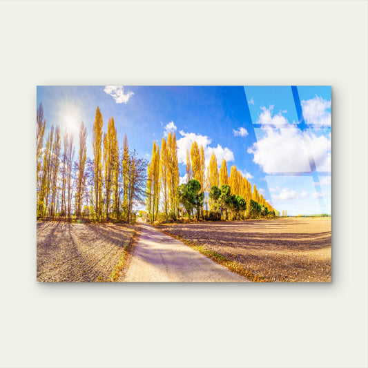 Gould Memorial Drive Marysville Autumn Acrylic Glass Printing Wall Art Australian Made Quality
