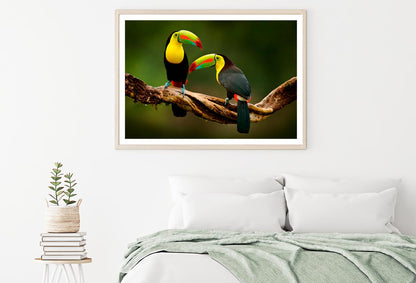 Toucan Sitting on The Branch in The Forest Home Decor Premium Quality Poster Print Choose Your Sizes